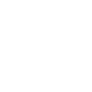 Icon Checklist_white